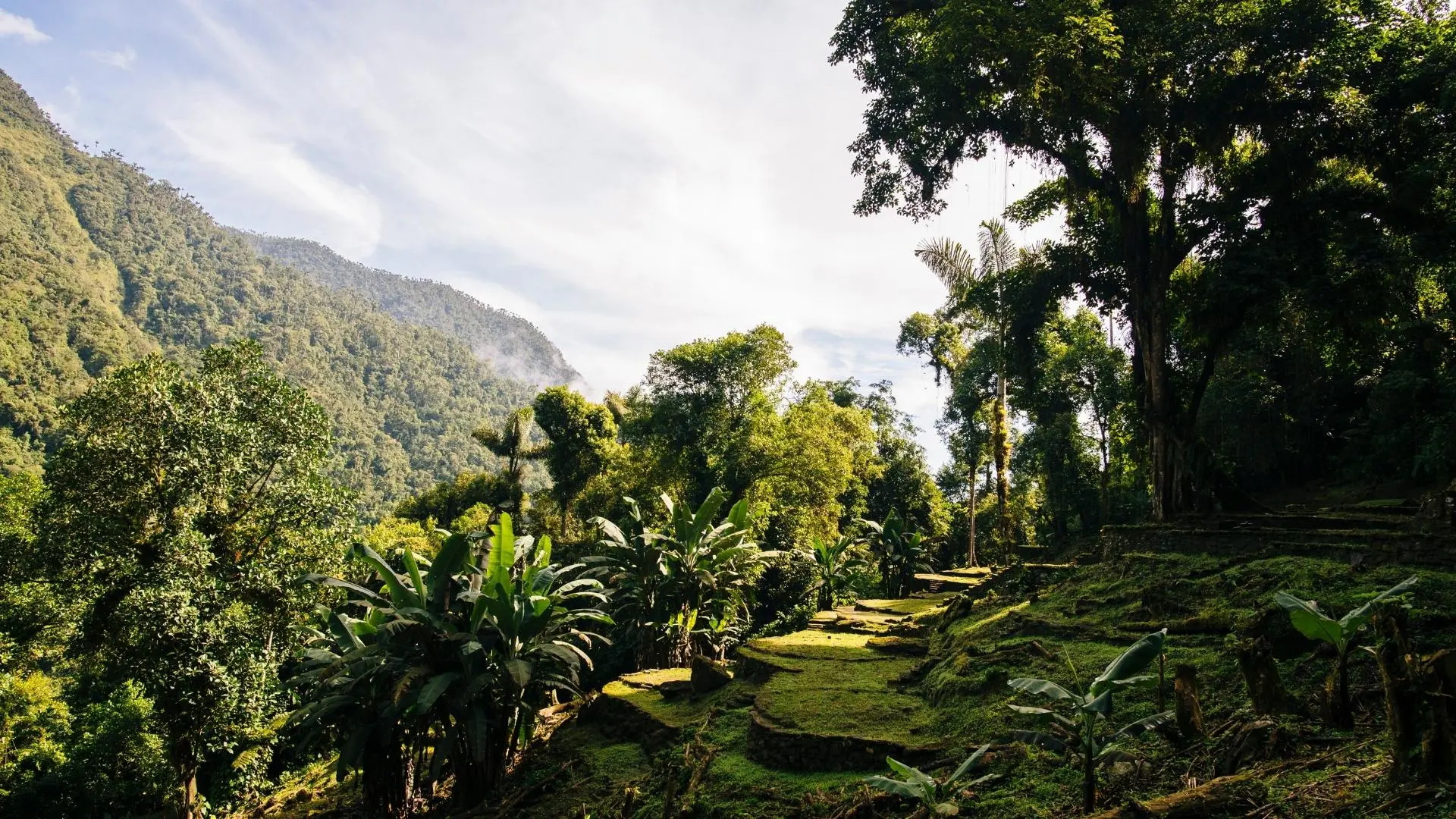 la importancia de la sierra nevada de santa marta para las comunidades indígenas-el corazon del mundo