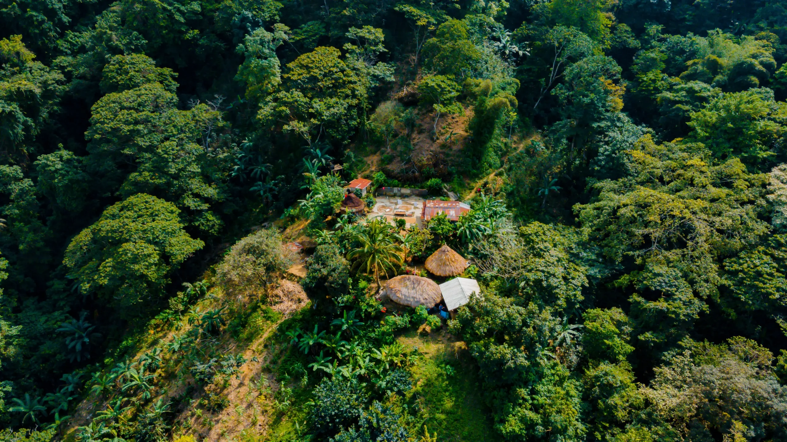 Tours a La ciudad perdida, La Comunidad indígena Kogui la guajira y más.