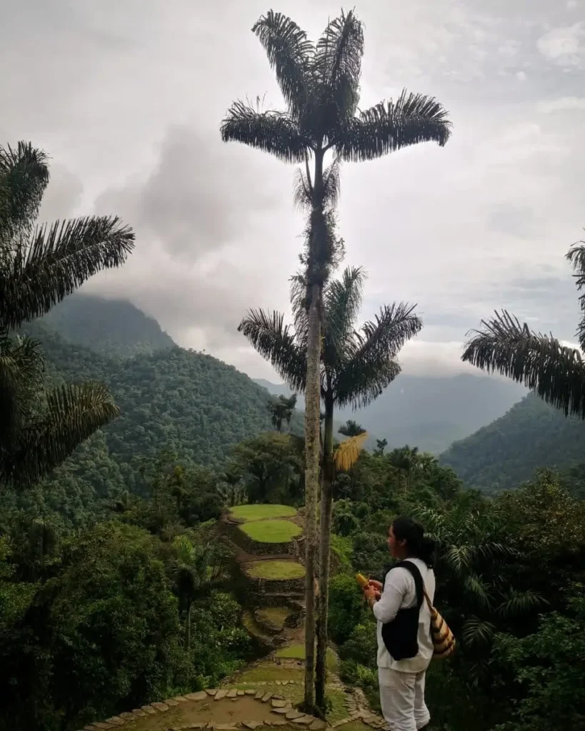 Terrazas en Teyuna la ciudad perdida antiguo asentamiento de los Tayrona tour Sierra Nativo