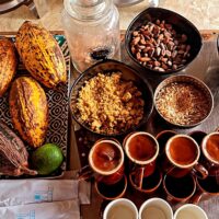 Conoce mas de cacao orgánico