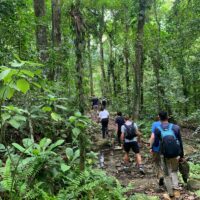 Ciudad perdida Alternativa