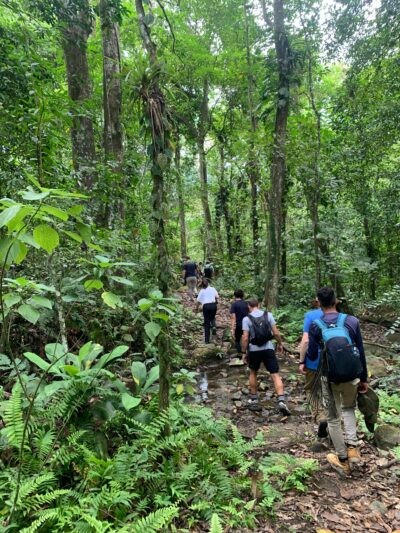 Ciudad perdida Alternativa