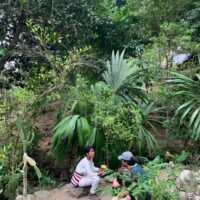 Teyku - Comunidad indígena Kogui