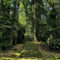 Escaleras reinas camino a la ciudad perdida en la sierra nevada de santa marta, Colombia