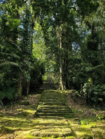 Escaleras reinas camino a la ciudad perdida en la sierra nevada de santa marta, Colombia
