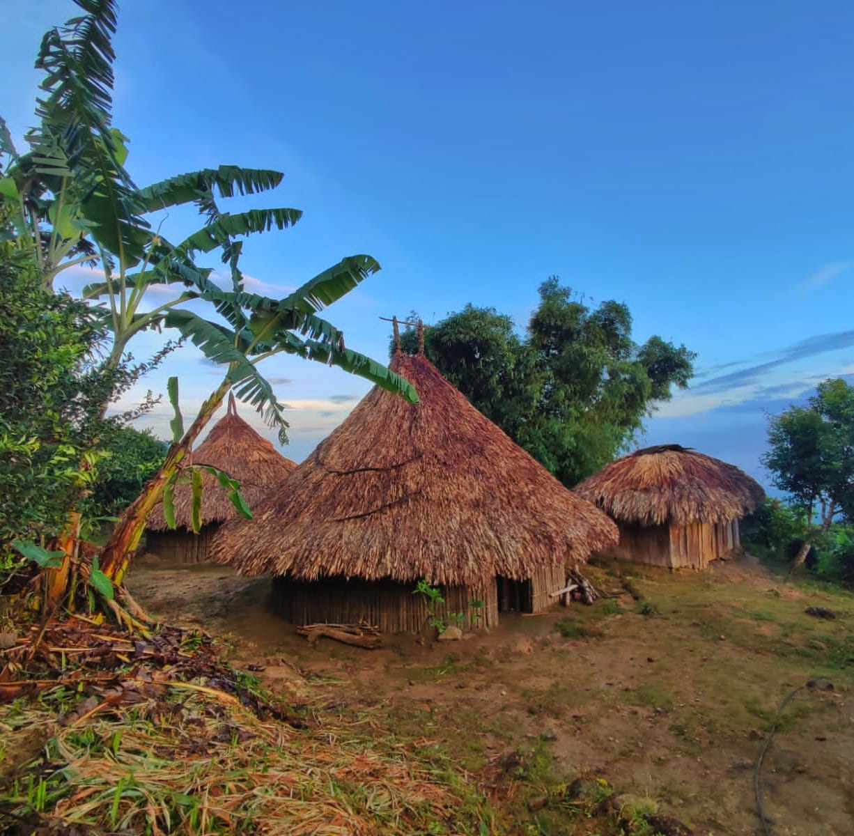 Los pueblos originarios